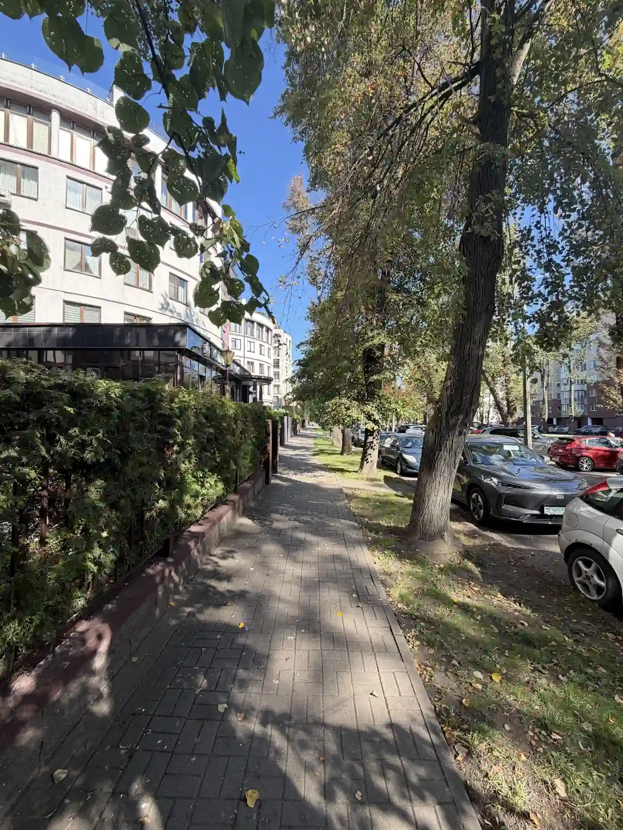 Залаты Маёнтак в Минске прогулка по жилому кварталу